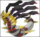 De quel type est ce Pokmon ?