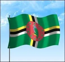 On peut voir un perroquet au centre d'une croix sur le drapeau -----------.