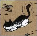 Je suis le chat dans  Le Combat ordinaire , de Manu Larcenet.