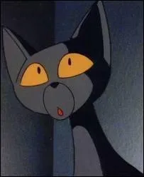 Je ressemble beaucoup  ma matresse, l'hrone Catwoman.