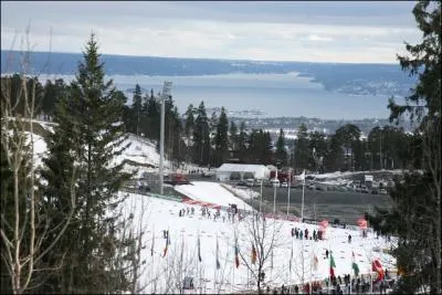 Quel Franais a remport la coupe du monde 2012 de biathlon ?