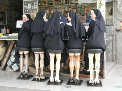 Ce sont des insectes pas trs catholiques, les femelles dvorent quelques fois les mles !