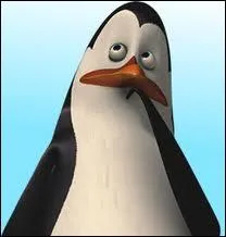 Qui est ce pingouin ?