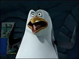 Qui est ce pingouin ?