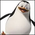 Qui est ce pingouin ?