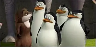 Comment s'appelle l'amie loutre du quatuor ?