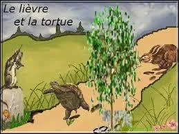 Qui va gagner la course ?