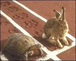 Le livre dfie-t-il  nouveau la tortue ?