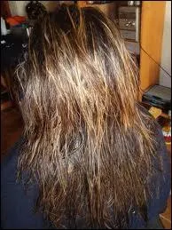 En anglais, comment dit-on  les cheveux  ?