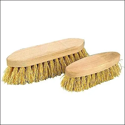 Quelle est cette brosse ?