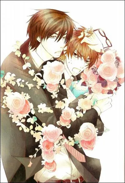 Quel personnage ne fait pas partie de S-H ?