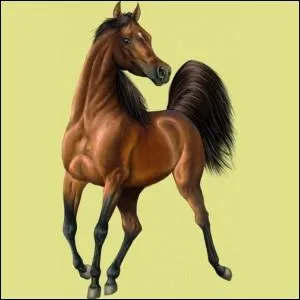 Quels sont les bonus prsents dans le  Pack de Posdon  ?