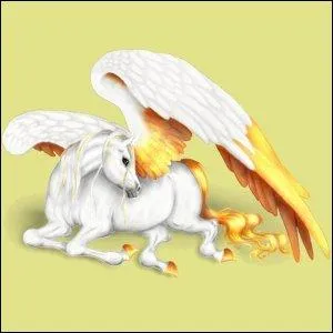 De quelle couleur est le  Pack de bonus  ?