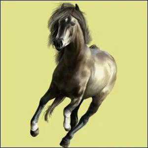 Quel est le symbole du  Pack Hra  ?