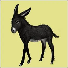 Qui peux-tu mettre en abus ?