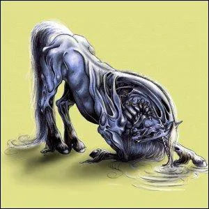 Dans quelles catgories les chevaux Holstein sont-ils les plus performants ?