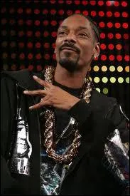 Quelle chanson Snoop Dogg a-t-il chante ?