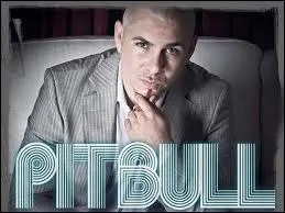 Quelle chanson Pitbull a-t-il chante ?