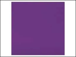 Comment dit-on  violet  en anglais ?