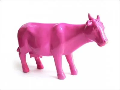 De quelle couleur est la vache ?