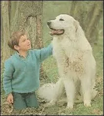 Sbastien est un petit garon plein de vie ; comme s'appelle sa chienne ?