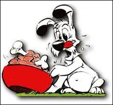 Petit chien, compagnon de Oblix ; comment s'appelle-t-il ?