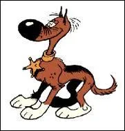 Comment s'appelle ce chien ?