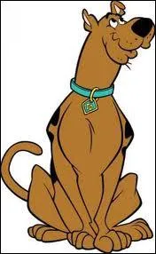 Qui est ce chien gourmand ?