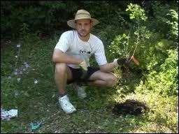 Quel est le verbe driv du mot  plante  ?