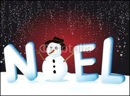 Lequel de ces mots n'appartient pas au champ lexical du mot  Nol  ?