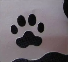 C'est l'empreinte du pire ennemi du chien :