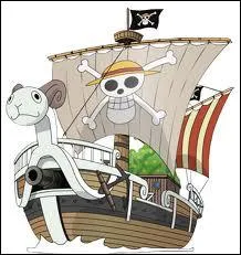 Comment s'appelle le bateau de Luffy ? (le 1er)