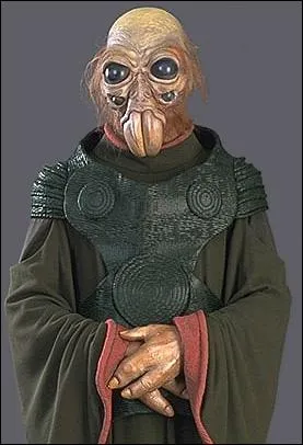 De quelle plante viennent les Aqualish ?