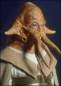 De quelle plante viennent les Quarren ?