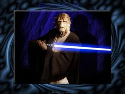 De quelle plante viennent les Nikto ?