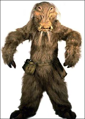 De quelle plante viennent les Whiphid ?