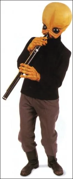 De quelle plante viennent les Bith ?