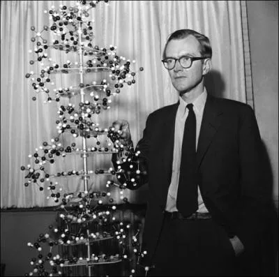 Pour quelle dcouverte Wilkins, Watson et Crick reoivent-ils le Prix Nobel de Mdecine le 31 octobre 1962 ?