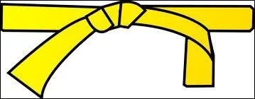 Au judo et au karat,  quoi correspond la ceinture jaune ?