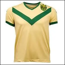 En football, en France, les Jaunes dsignent par dfaut les joueurs du... .