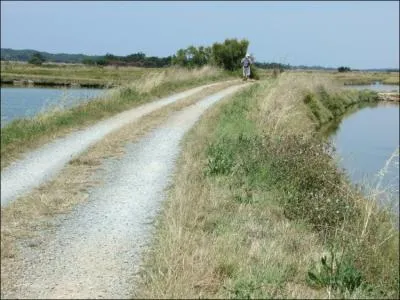 Aller et venir sans but prcis peut aussi se dire...