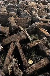 Quand le mot ne dsigne pas un charbon de qualit mdiocre provenant de la dcomposition de certains vgtaux, qu'est-ce que la tourbe ?