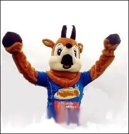 Les clubs de football ont galement leur mascotte. Ce chamois baptis   Chamy   est la mascotte de quelle quipe ?