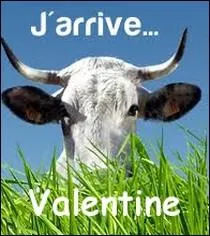 Valentine tait la mascotte du dernier Salon de l'agriculture  Paris . Quelle race de bovins reprsentait-elle ?