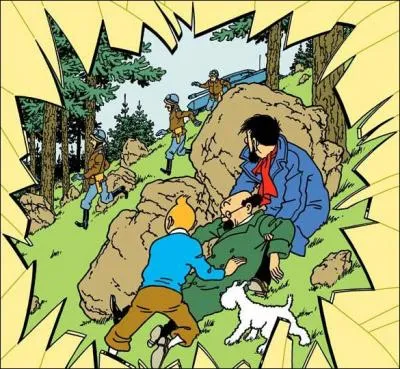 De quelle couverture de Tintin vient cette image ?