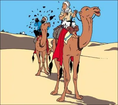 De quelle couverture de Tintin vient cette image ?