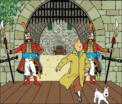 De quelle couverture de Tintin vient cette image ?