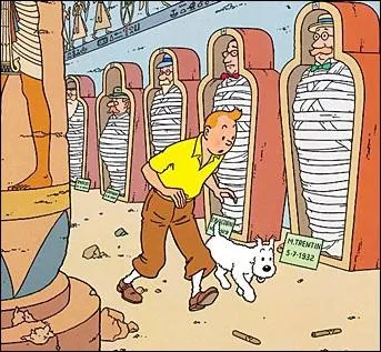 De quelle couverture de Tintin vient cette image ?