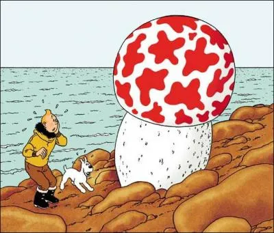 De quelle couverture de Tintin vient cette image ?