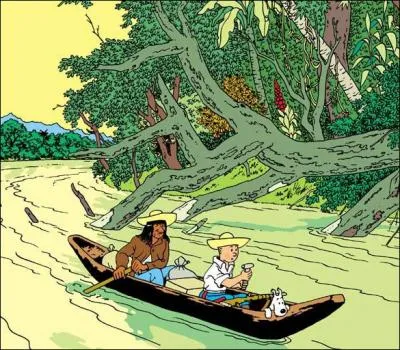 De quelle couverture de Tintin vient cette image ?